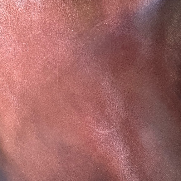 Dooney & Bourke Florentine Large Zip Barlow Tote - Chestnut In Color - Picture 5 of 15